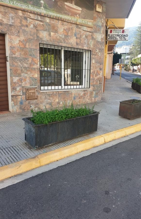 Miniatura