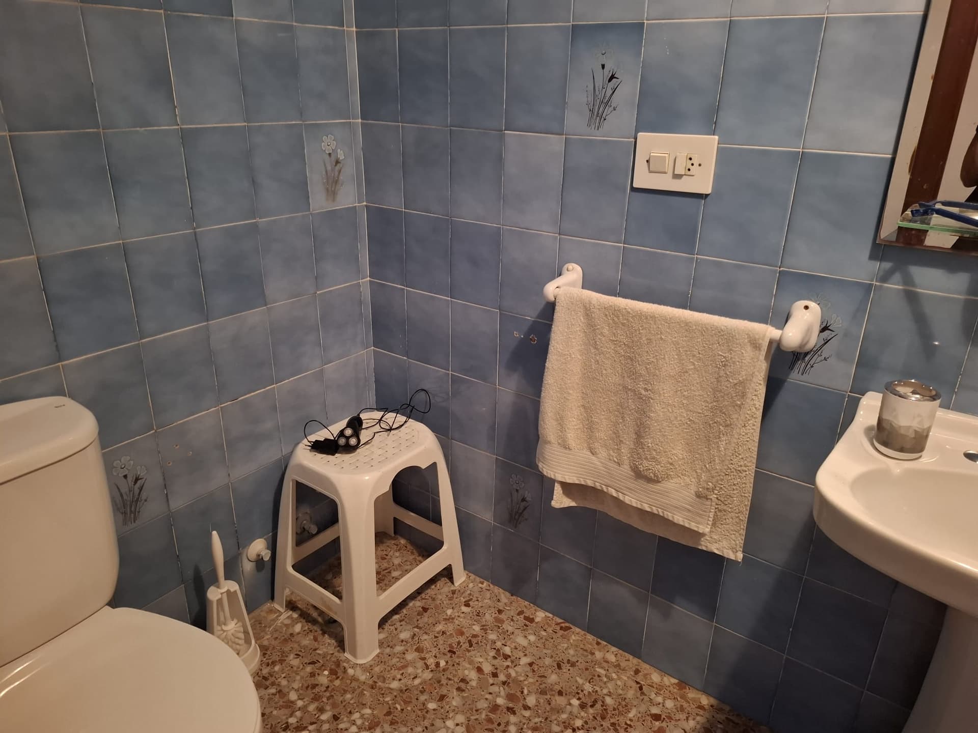 Miniatura
